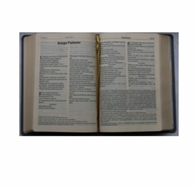 Biblia pierwszego Kościoła (PU, szara)